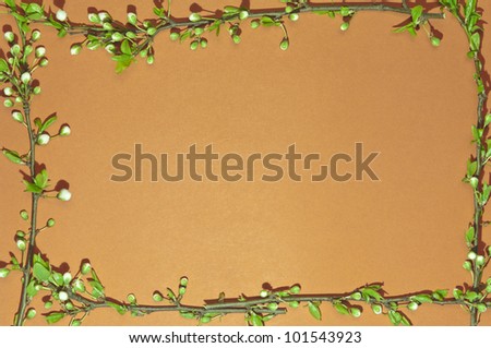 Colored frame with green and white flowery