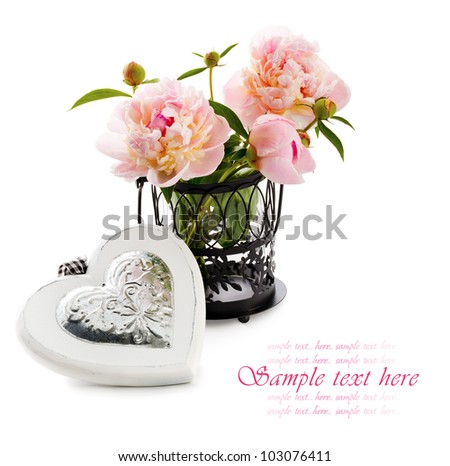 Beautiful  Peonies on a white background with copy space