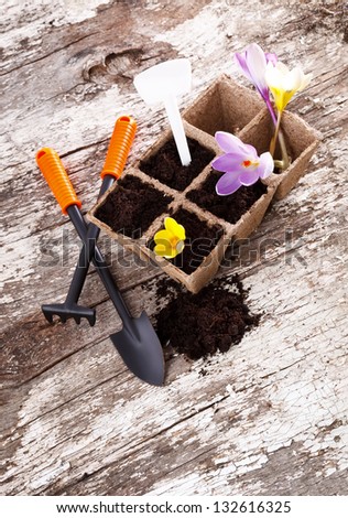garden tools (shovel, rake, peat pots ) on old wooden background