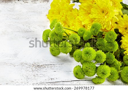 chrysanthemum isolated on white background