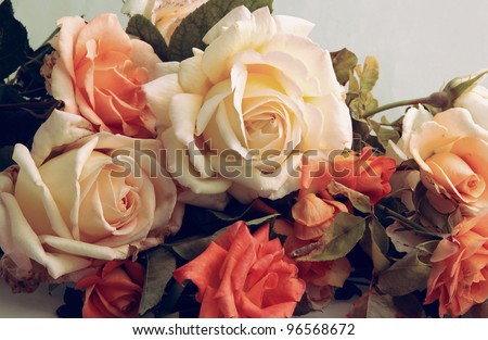 Beautiful Roses.Vintage styled