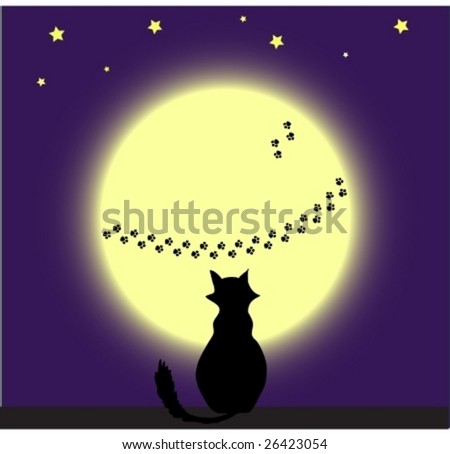 A cat looking at the Moon