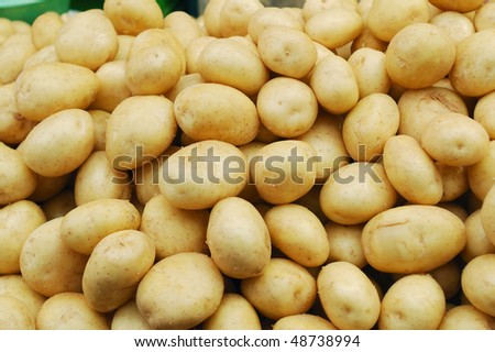 close up of big white potatoes on market stand