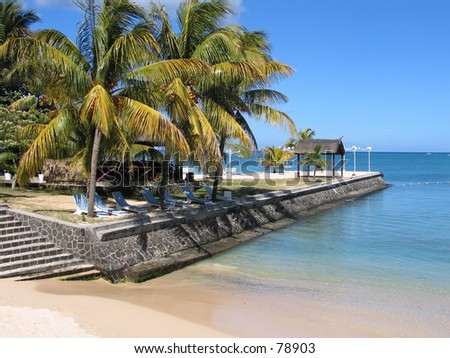 Tropical beach with coconut trees,Mauritius