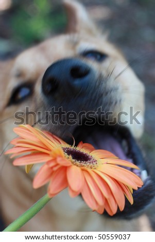 Don\'t eat my flowers!