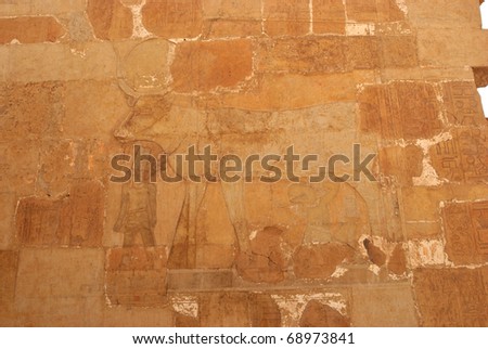 bas-relief on wall of temple of Hatshepsut