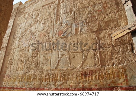 bas-relief on wall in temple of Hatshepsut in Luxor