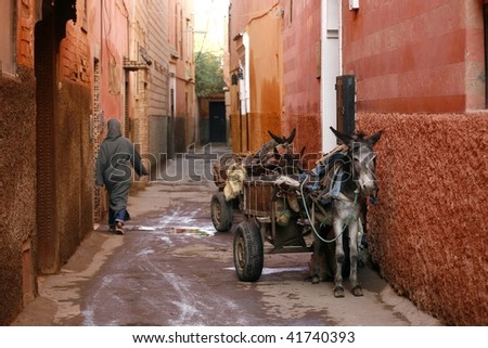 in Marrakech's medina (old