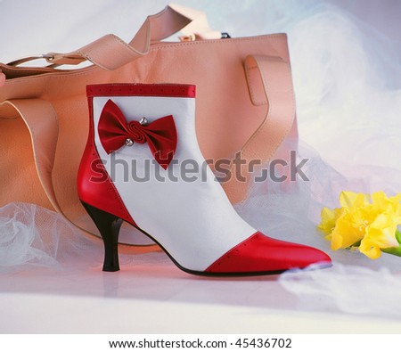 a bag and shoe in the latest fashion