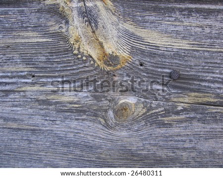 Nice textural wood panel - piece of wood