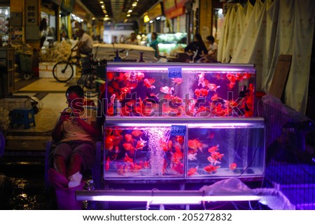 GUANGZHOU, CHINA - JUNE 24.:Man selling fishes for aquariums on Yihe Market. Yihe Market is one of the biggest wholesale and retail markets for fish, bird and stone products in China.