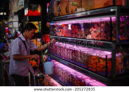 GUANGZHOU, CHINA - JUNE 24.:Man selling fishes for aquariums on Yihe Market. Yihe Market is one of the biggest wholesale and retail markets for fish, bird and stone products in China.