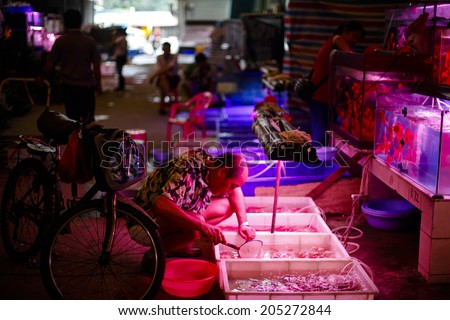 GUANGZHOU, CHINA - JUNE 24.:Man browsing fishes for aquariums on Yihe Market. Yihe Market is one of the biggest wholesale and retail markets for fish, bird and stone products in China.