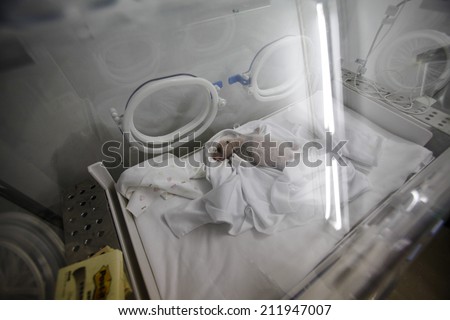 GUANGZHOU, CHINA - AUGUST 12. 2014.:A newborn giant panda cub, one of the triplets which were born to giant panda Juxiao (not pictured), is seen inside an incubator at the Chimelong Safari Park.