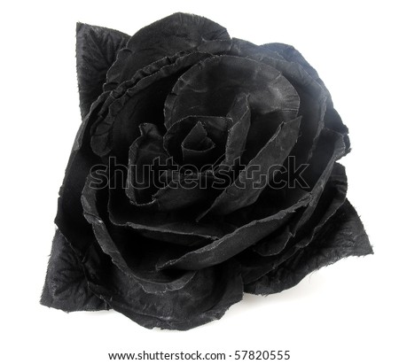 stock photo artificial black rose