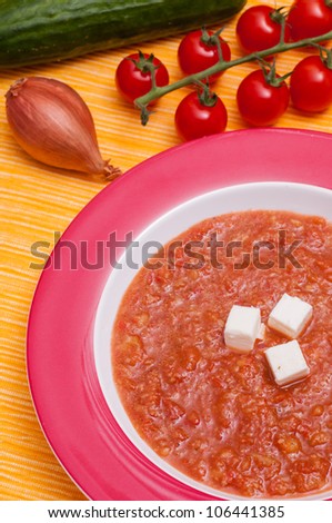 Cold vegetable soup gazpacho with feta cheese