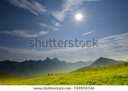 Green meadow with flowers in the mountains and a sun star in the sky