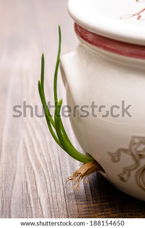 Close up of a rowing onion in a pot in vertical format