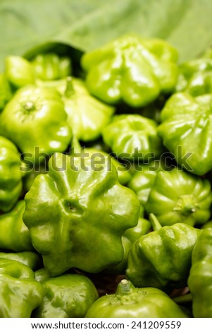 Close up of green chili pepper in vertical format