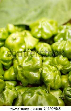 Close up green chili pepper in vertical format