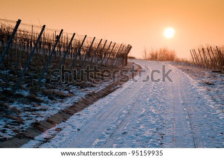 Sunrise in a German vineyard with vines a path und snow