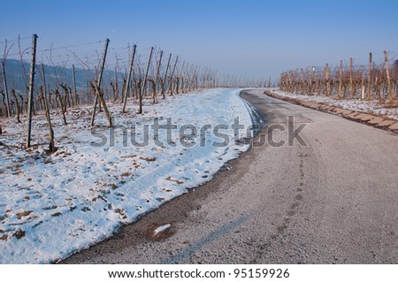 Snowy vineyard in Germany with path and snow and a blue sky