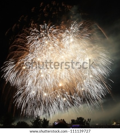 Fireworks  rockets and  illuminated sky