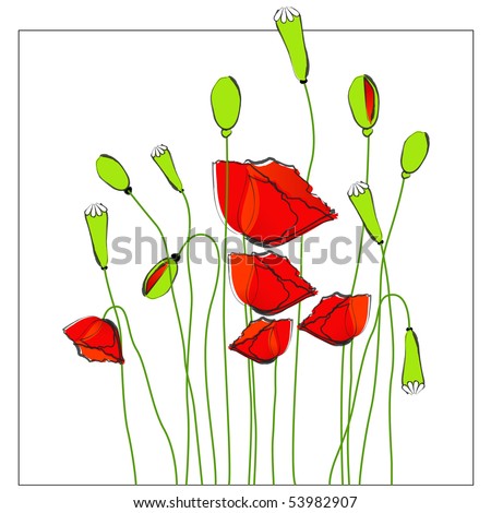 Poppies Illustration