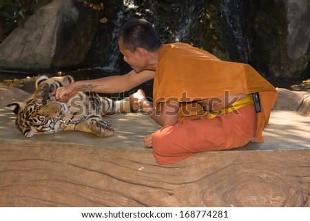 KANCHANABURI, THAILAND - NOVEMBER 30: Unknown buddhist monk with a bengal tiger at the Tiger Temple on November 30 2011, Kanchanaburi, Thailand.