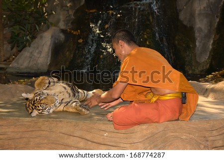 KANCHANABURI, THAILAND - NOVEMBER 30: Unknown buddhist monk with a bengal tiger at the Tiger Temple on November 30 2011, Kanchanaburi, Thailand.