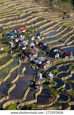 The World Heritage Rice Terraces In Batad, Northern Luzon, Infugao Province Philippines.