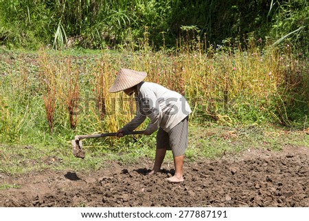BALI, INDONESIA - FEBRUARY 22, 2015 : Unknown old woman farmer holding spade at field. Daily activities of female farmer in order to feed themselves and their families