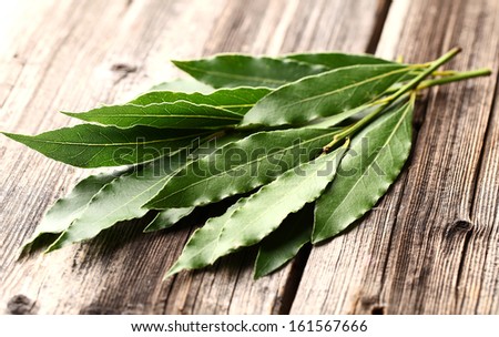 Laurel Leaves On A Wooden Background