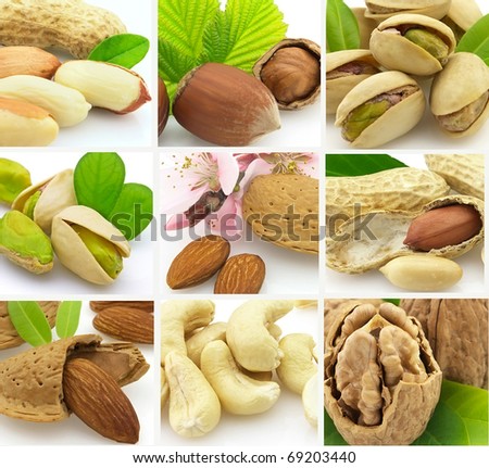 Tasty Nuts