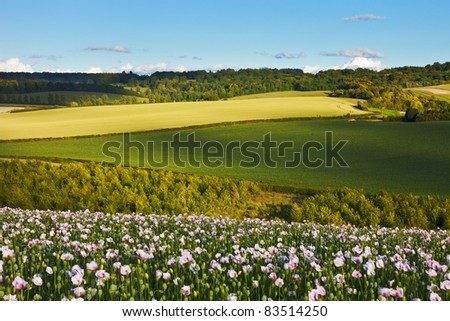 The Chilterns England