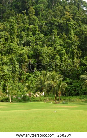 Golf hole next to tropical rain forest