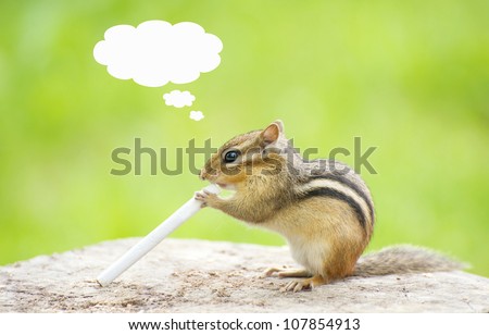 Chipmunk sitting on a stump holding a cigarette with a thought balloon for your text.
