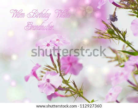 Birthday card design for grandmother featuring beautiful pink phlox flowers in the sunshine with bokeh and text, Warm Birthday Wishes Grandmother.