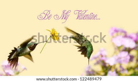 Valentine\'s Day card design with a male ruby throated hummingbird surprising a pretty female with a gift of a flower, with text-Be My Valentine...