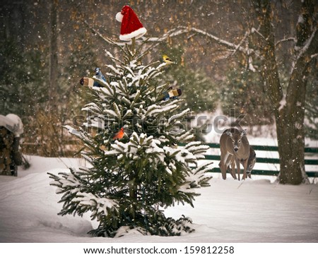 A Spruce Tree In The Snow Decorated With A Santa Hat And Mitts, With Colorful Winter Birds Perched On Its Branches, With A Mother, And Baby Deer Looking On In The Background.