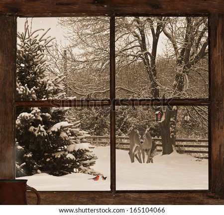 Vintage Style Christmas Card Background, With A View Of A Mother, And Baby Deer, And A Pair Of Cardinals, Seen Through A Grunge Farm House Window With A Cup Of Steaming Coffee On The Windowsill.