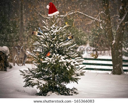 A Spruce tree in the snow decorated with a Santa hat and mitts, with colorful winter birds perched on its branches, with a mother, and baby deer, and a squirrel  looking on in the background.
