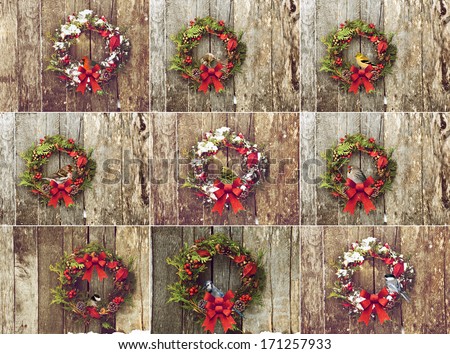 Collection of Christmas wreaths with various colorful birds perched.\
Each individual, full sized image is also available in my portfolio.