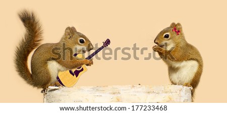 A Young Male Squirrel Playing A Love Song For His Sweetheart. Part Of A Fun Series.