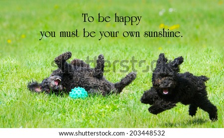 Enjoying life - Stock Image - Everypixel