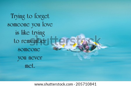 Inspirational quote on love by an unknown author with beautiful forget me not flowers floating on water.
