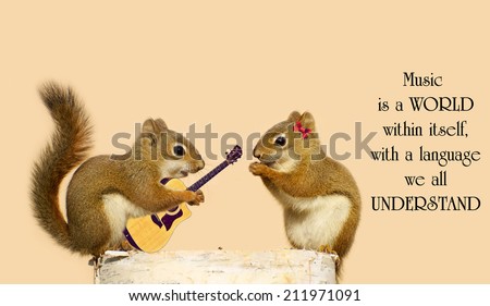 Inspirational quote on music by Stevie Wonder with a young male squirrel playing a love song for his sweetheart.