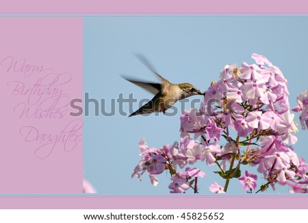 stock photo : Unique irthday Birthday Cards For Moms From Daughter. stock photo : Unique irthday