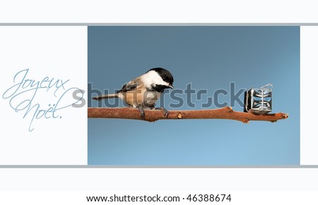 Unique french language Christmas card featuring a cute chickadee on a branch examining a shiny gift.