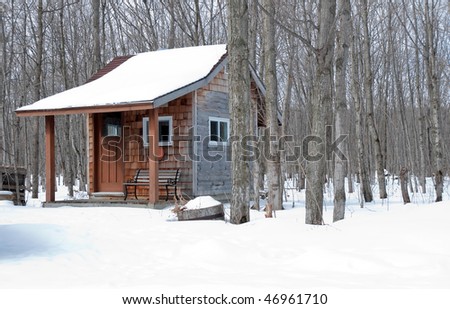 A rustic looking children's playhouse in the woods in the winter.